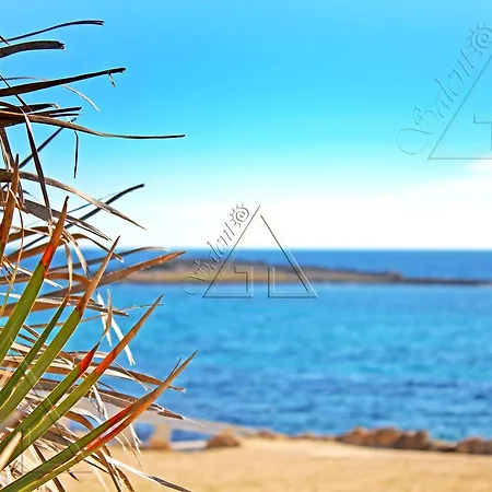 Gd Salento Lido Pazze *